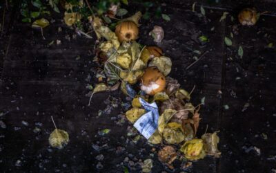 Make food waste count! – Update matsvinn augusti- september