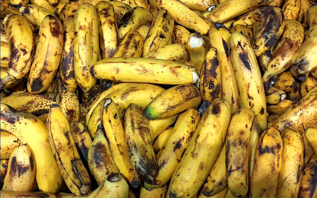 Bananer, bananer… – Update matsvinn juli 2024